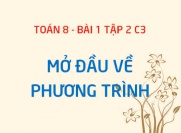 Phương trình một ẩn là gì? Giải phương trình là tìm điều gì? phương trình tương đương với nhau khi nào? - Toán 8 bài tập 2 chương3